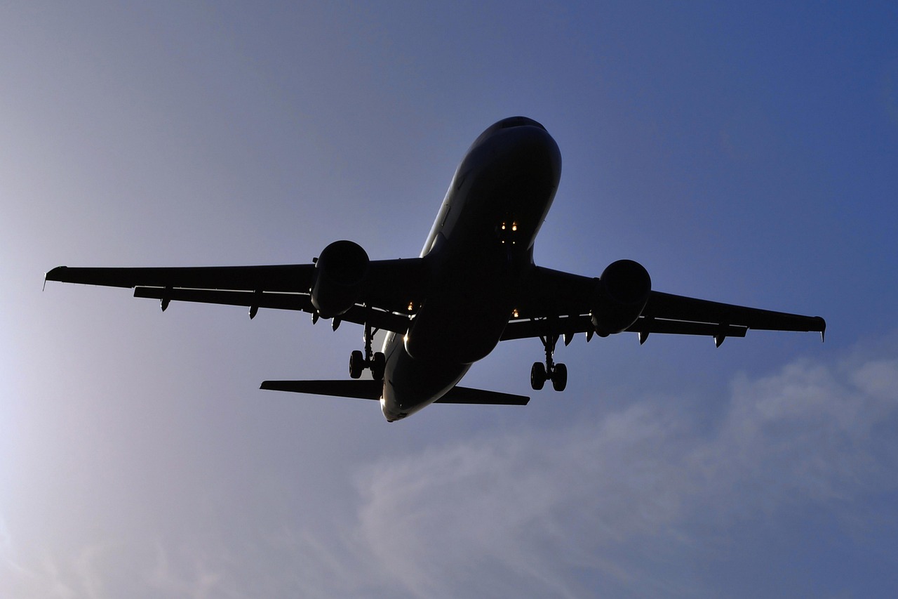 plane, heaven, tourism, landing, palne, aircraft, in the sky, silhouette